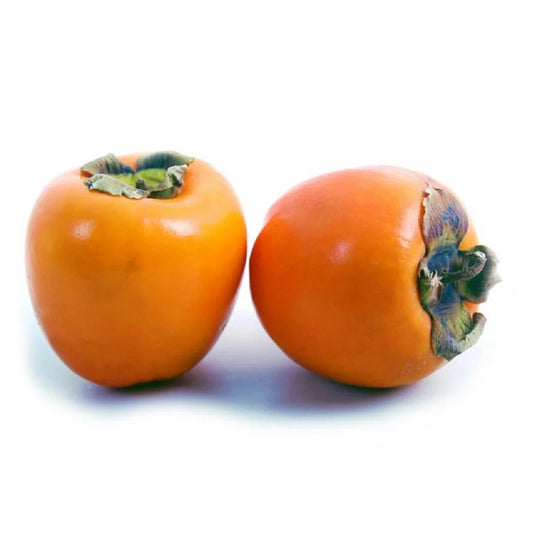 Kaki szt